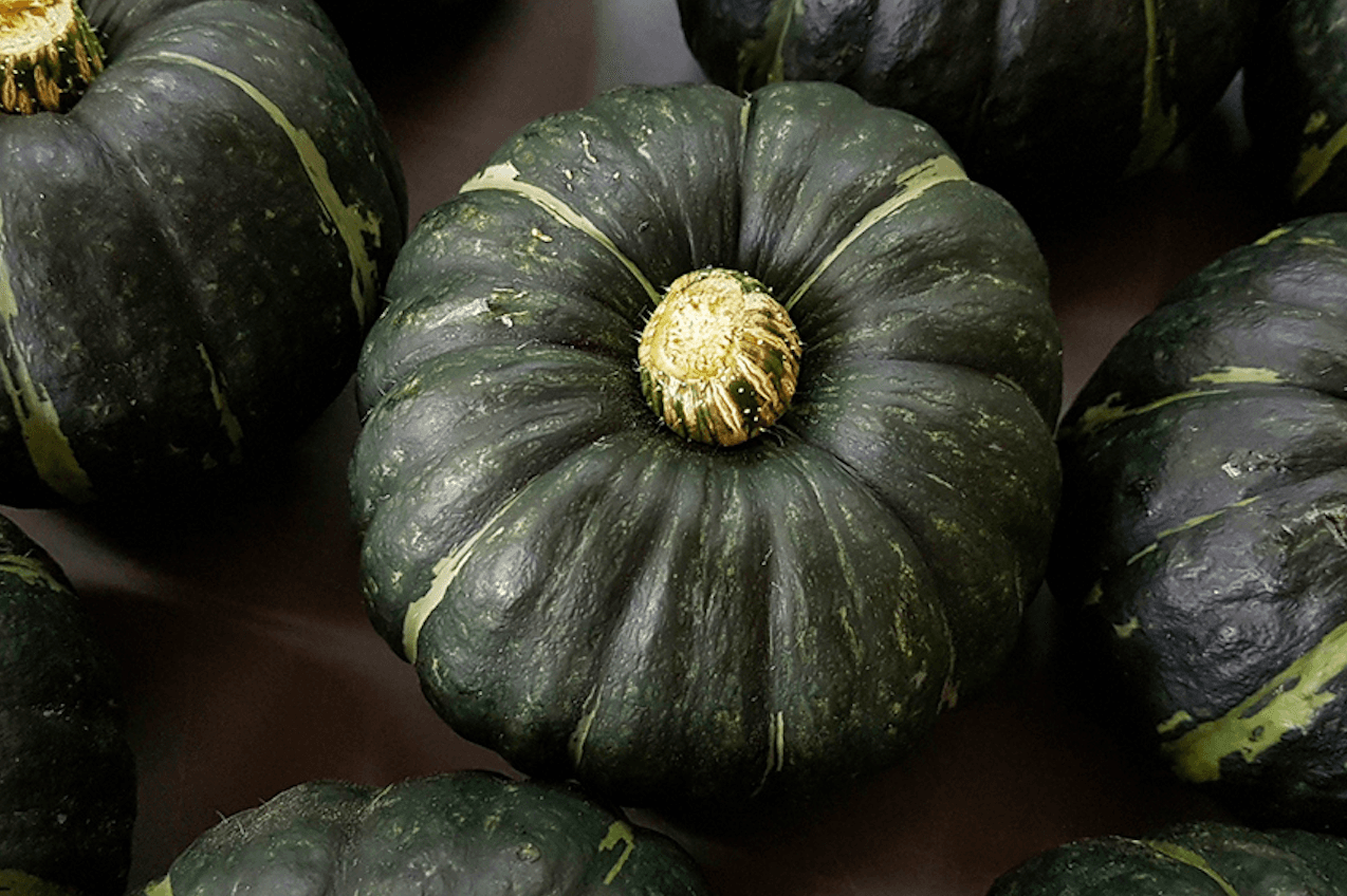 미니밤호박 특품 2kg (8,300원/무배)