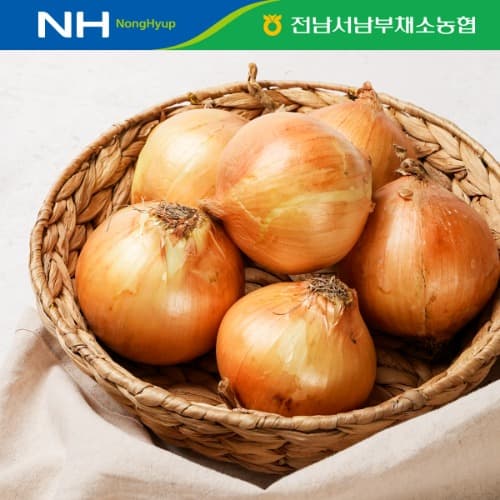 무안 황토 햇양파5kg