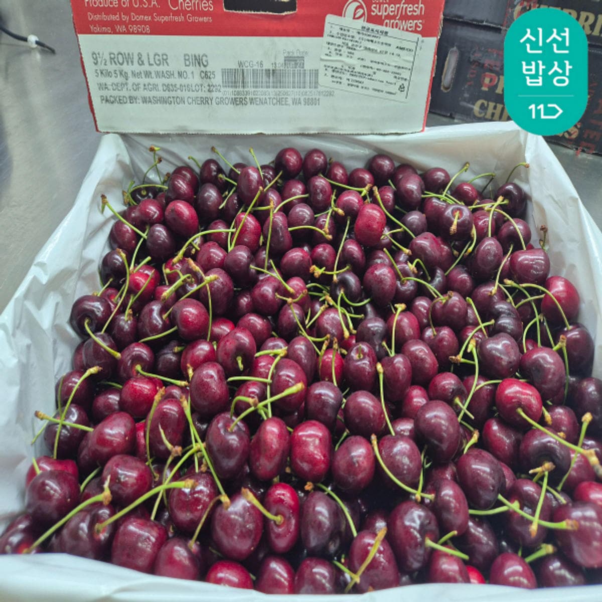워싱턴 항공 체리 9.5R 특대과 5kg 1박스