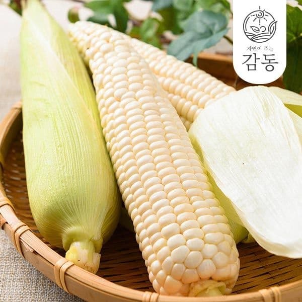 롯데온 햇 찰옥수수 14cm 이상 특품 15개 8,540원