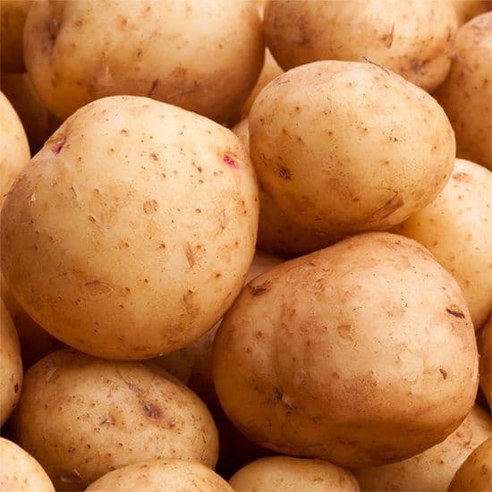 롯데온) 국내산 햇 감자 대 10kg 14980원 무배
