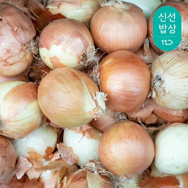 11번가) 싱싱한 국내산 햇 양파 중/소 3kg 4800원