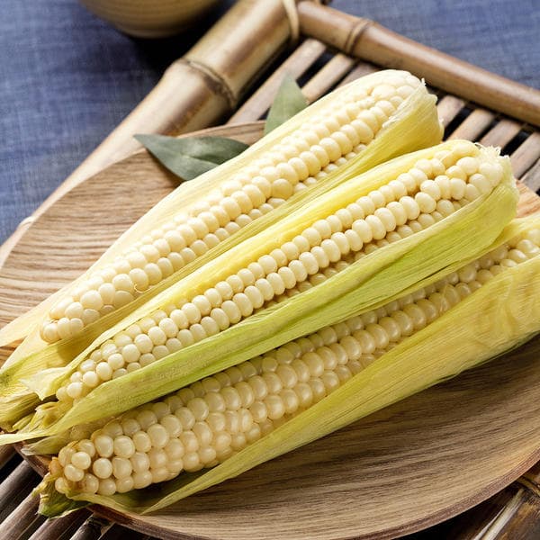 11번가) 전라도 미백찰옥수수 15cm 이상 10개입 9,900원 무배