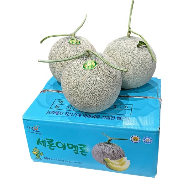 세지메론 3-4수 파란색 (25,900원/무료배송)
