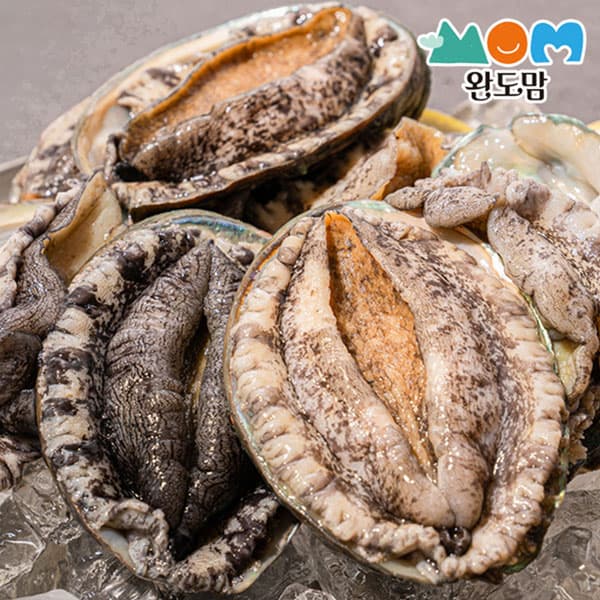 완도 활 전복 1kg 6미 왕특대 (23,640원/무료)4