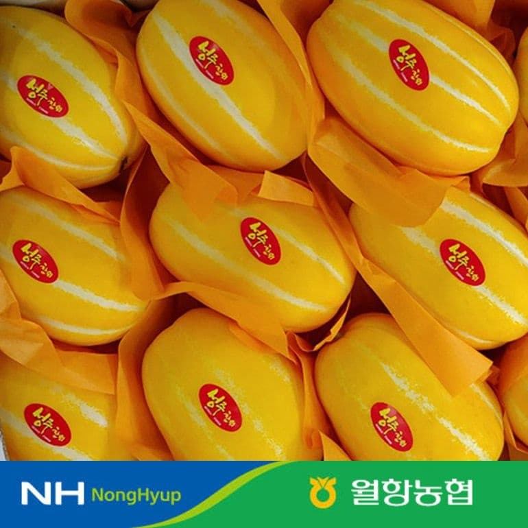 당도선별 정품 성주꿀참외 상 2kg (8,730원/무료)