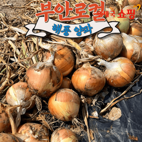 양파3k 중대혼합(3,300/무료)0칼로리(수박바10+죠스바10+스크류바10)(14,900/무료)4