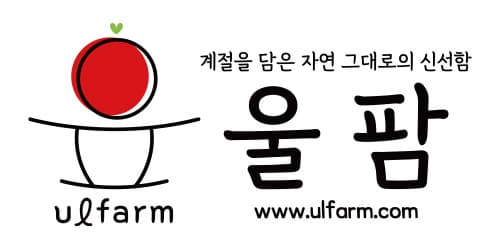 친환경 양배추2kg (900원/무료배송)2