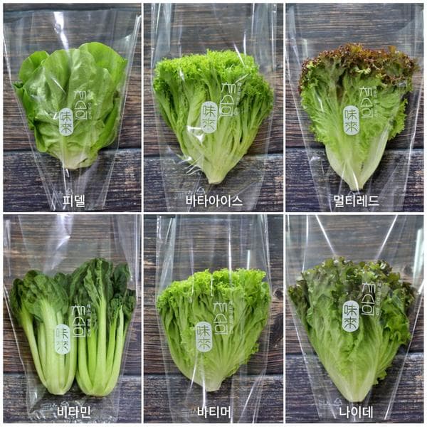 유러피안 샐러드채소 1kg